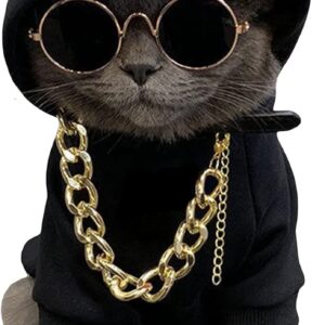qwinee 3pcs dog hoodie cat apparel dog custume set with necklace and sunglasses pet clothes for puppy small medium dogs cats multicolor s visit the qwinee store