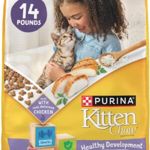 kitten chow dry cat food by purina