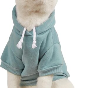 qwinee basic dog hoodie sweatshirt puppy sweater warm cat costumes pet clothes for chihuahua puppy kitten small medium dogs cadet blue small