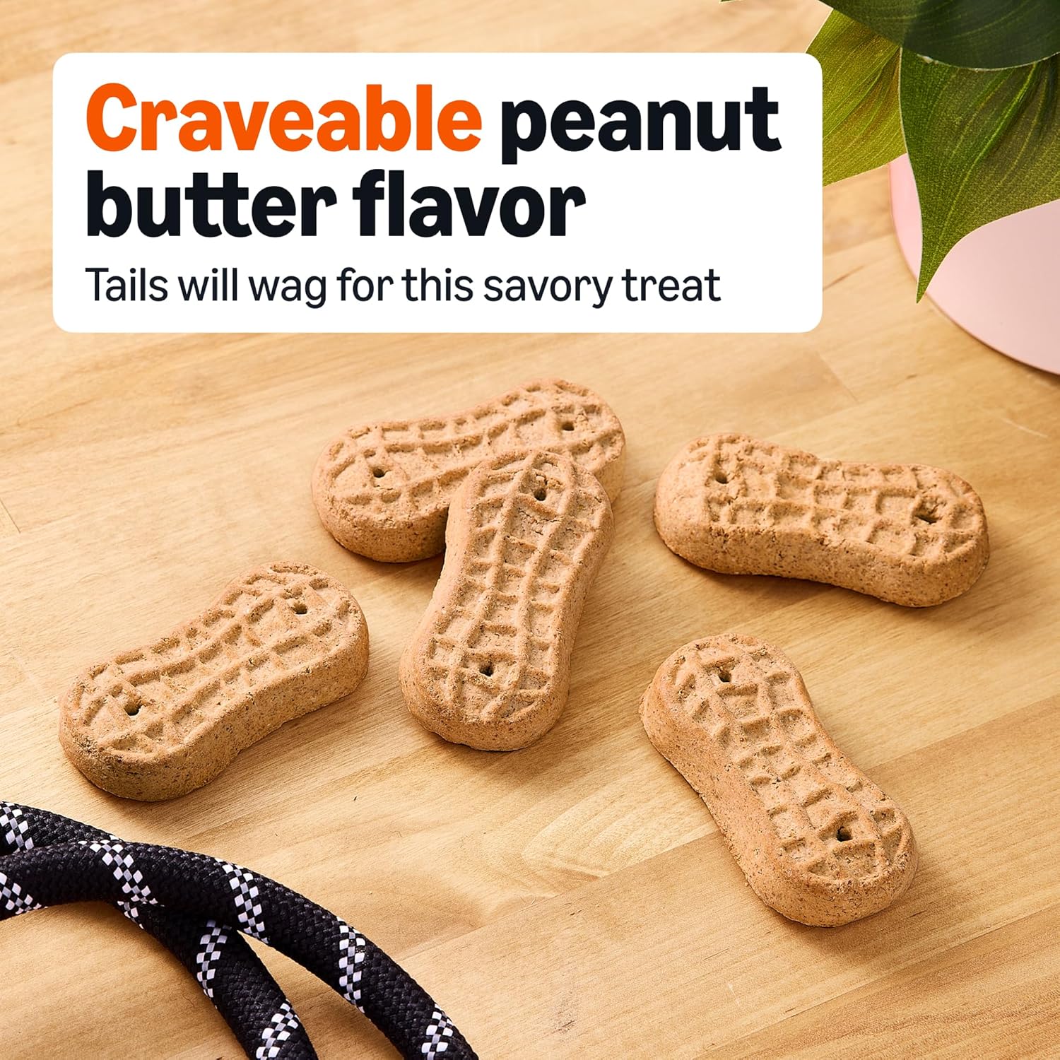 amazon basics peanut butter flavor biscuits dog treats 5 lb. box amazon basics peanut butter flavor biscuits dog treats 5 lb. box