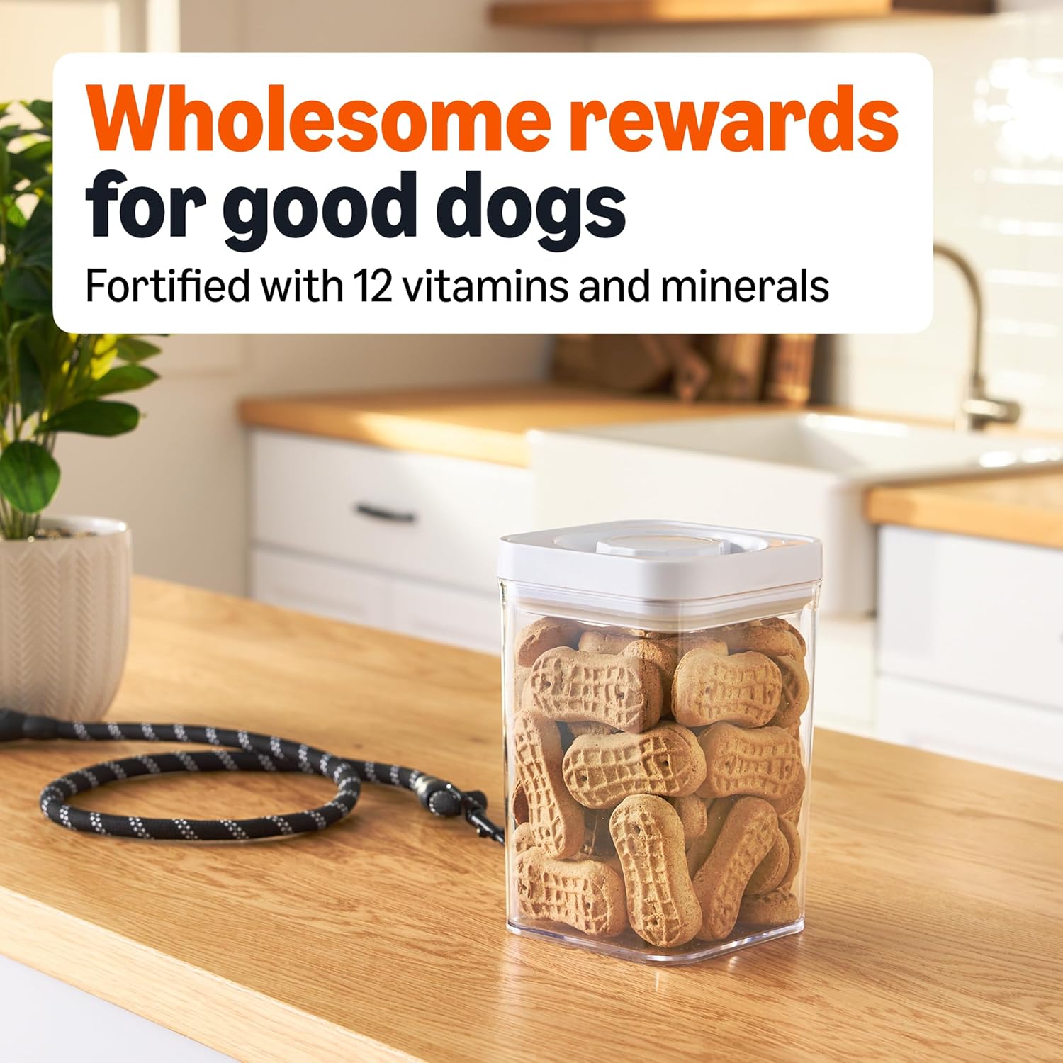amazon basics peanut butter flavor biscuits dog treats 5 lb. box amazon basics peanut butter flavor biscuits dog treats 5 lb. box