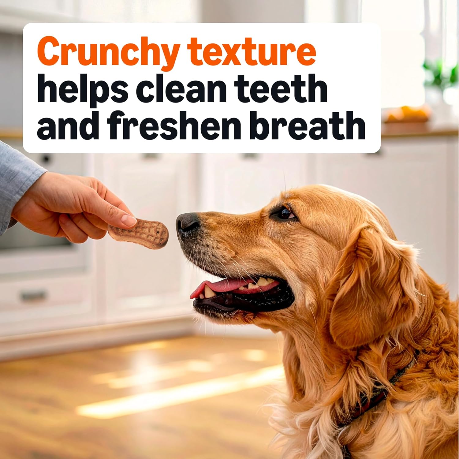 amazon basics peanut butter flavor biscuits dog treats 5 lb. box amazon basics peanut butter flavor biscuits dog treats 5 lb. box
