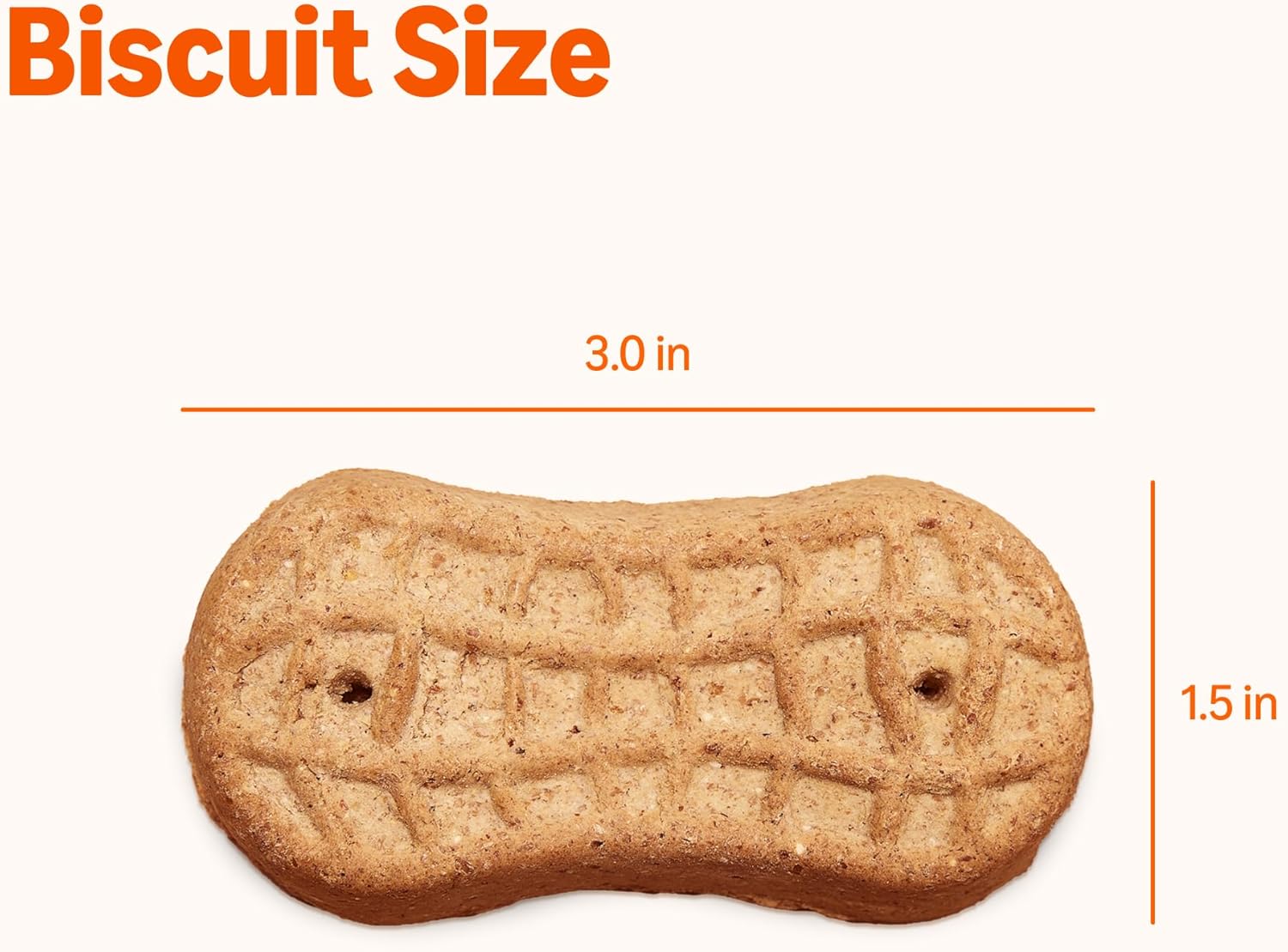 amazon basics peanut butter flavor biscuits dog treats 5 lb. box amazon basics peanut butter flavor biscuits dog treats 5 lb. box